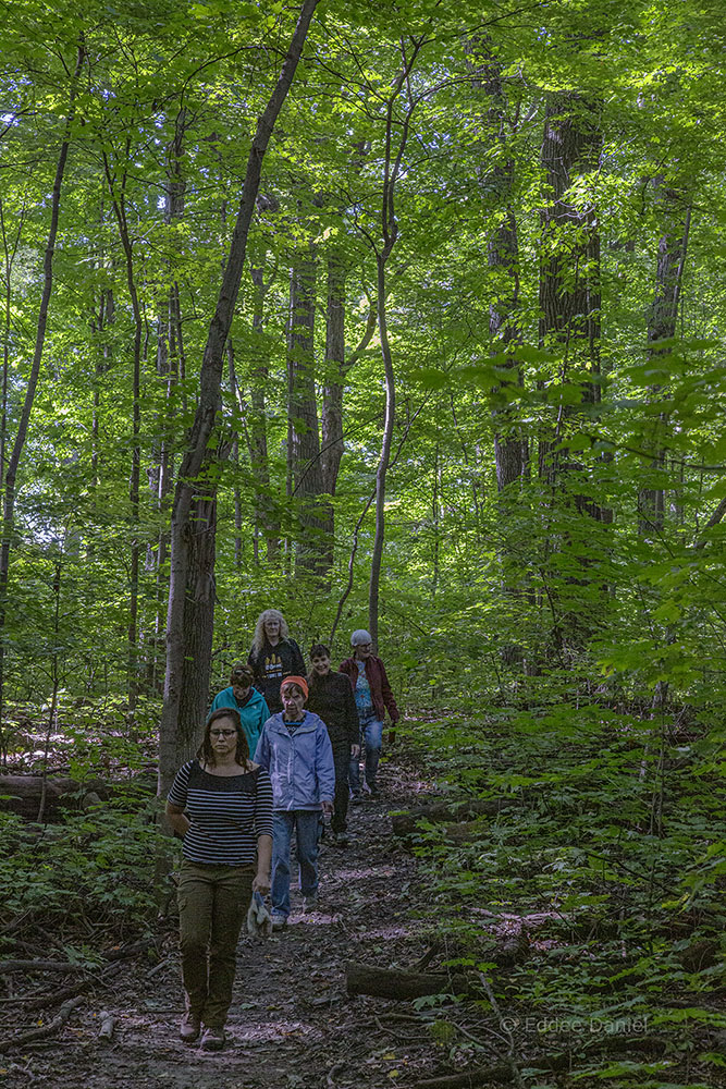 Milwaukee County Parks Trails Coordinator Jessica Wineberg leads a hike in Cudahy Nature Preserve, Oak Creek.