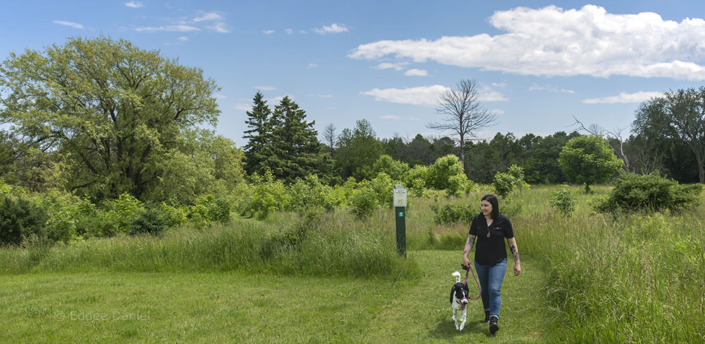 Artist in residence Kelly Alexander at Forest Beach Migratory Preserve