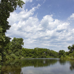 Woodfield Park pond
