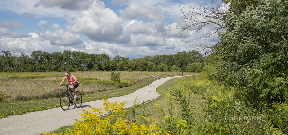 Oak Leaf Trail in Franklin