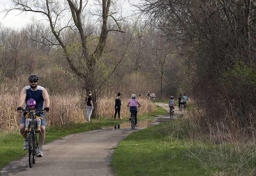 Increased activity evident this spring on Oak Leaf Trail in Root River Parkway, Greenfield.