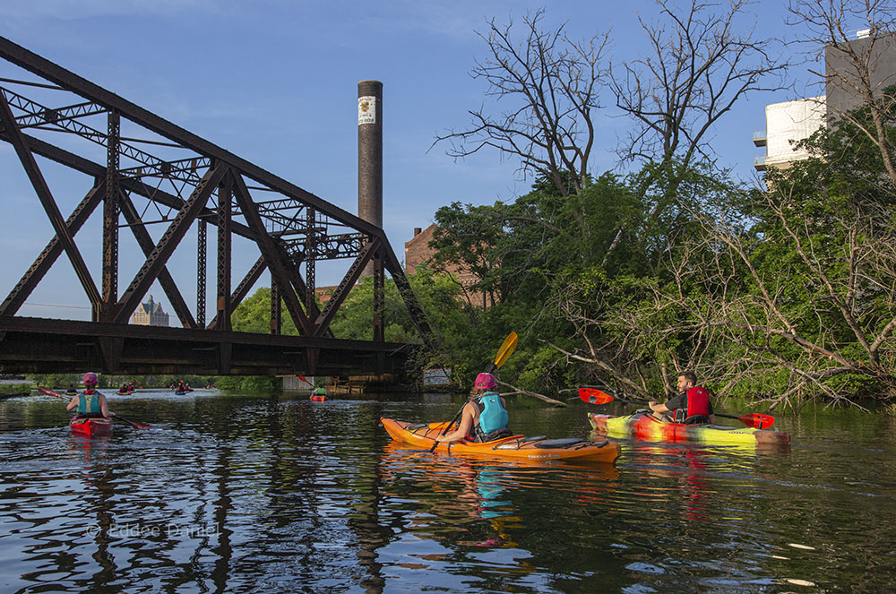 The urban wild in the Menomonee River Valley.