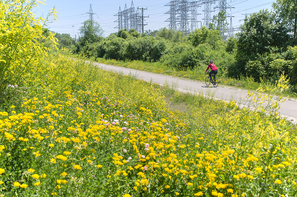 West end of Hank Aaron State Trail near I-94 overpass. 2020.