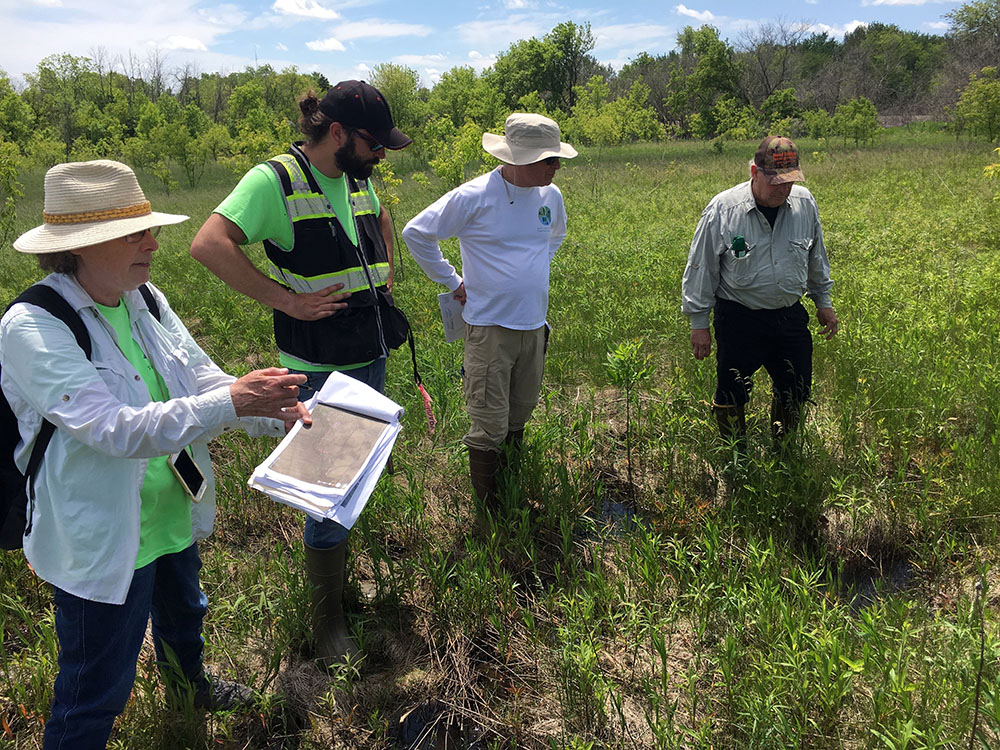 Alice Thompson, Aaron Menke, Gary Raasch and Bill Sasse survey wetland improvement locations at Gitzlaff Park.