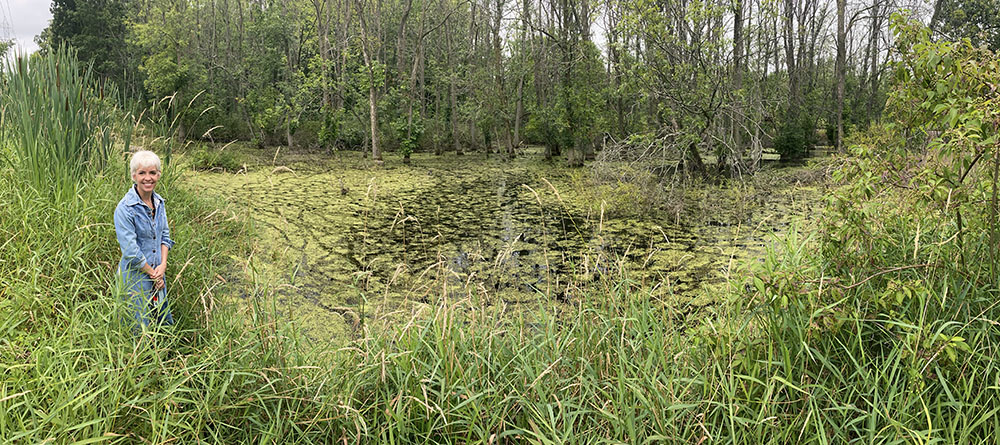 Artist in residence Krista Allenstein at Sidney Woodland Preserve