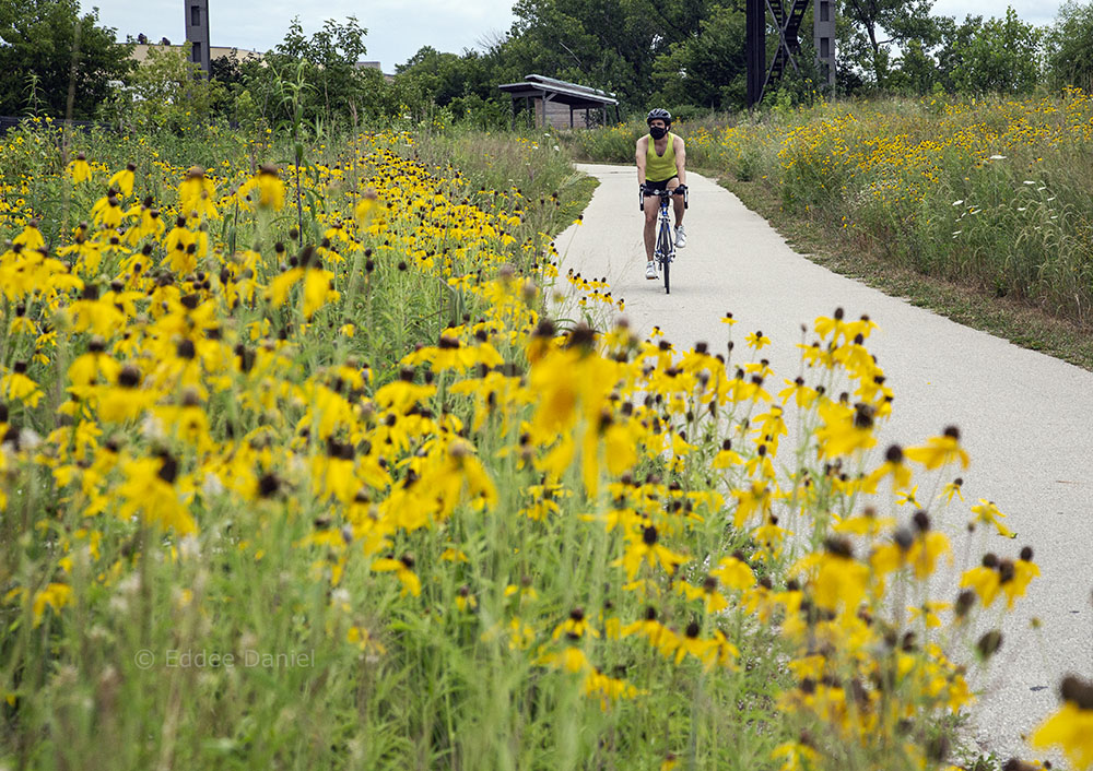 A cyclist on the Hank Aaron State Trail in Three Bridges Park