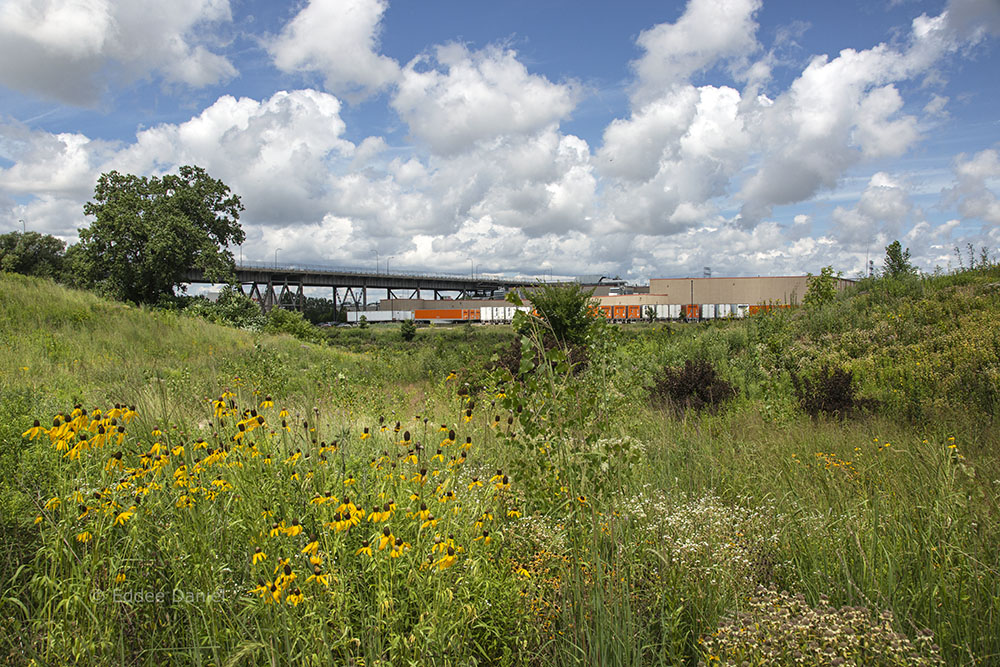 Palermo's Pizza factory and 35th Street Viaduct framed by Three Bridges Park