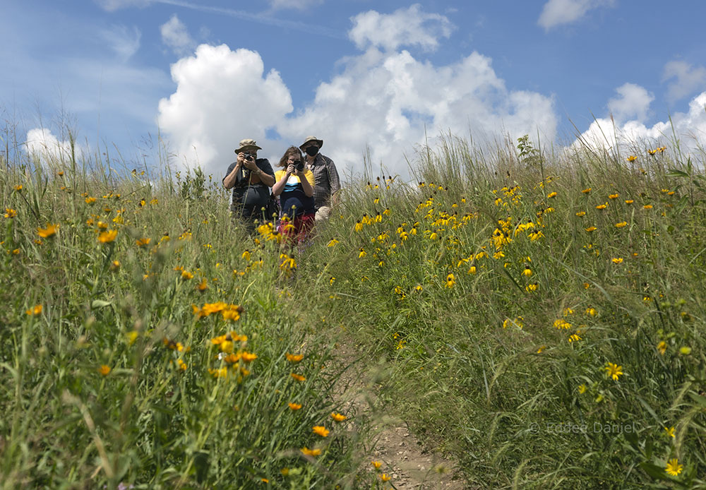 Hike participants shooting from a hilltop in Three Bridges Park