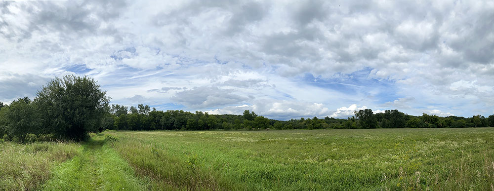 Ice Age Trail Panorama