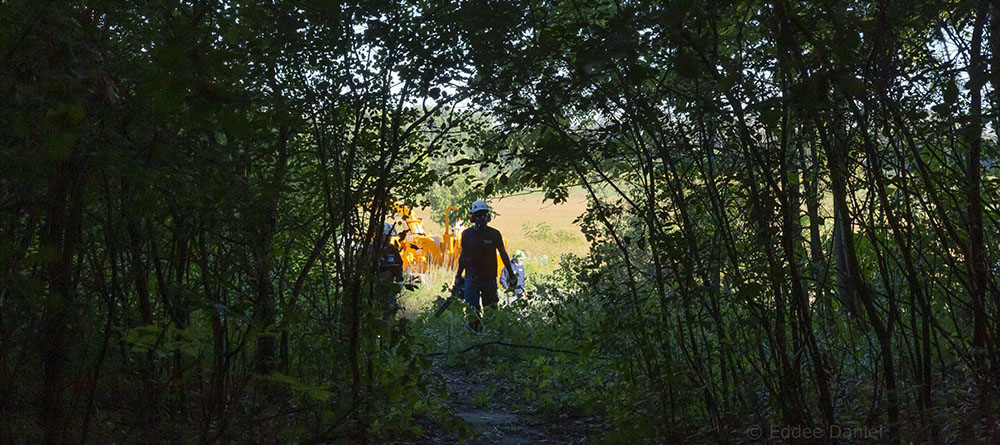 Buckthorn tunnel