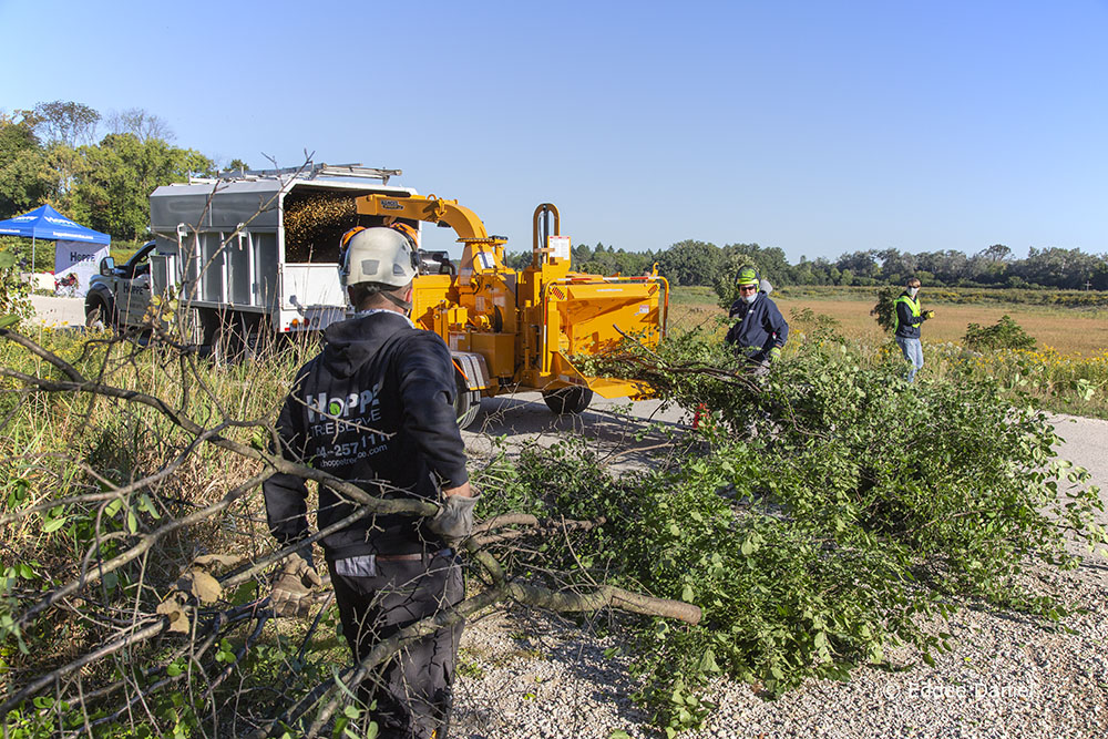 Hoppe's wood chipper dispatching cut buckthorn.