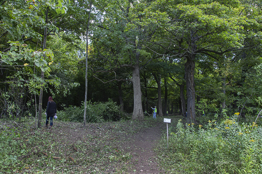 Entrance to Sanctuary Woods near the end of the event. 