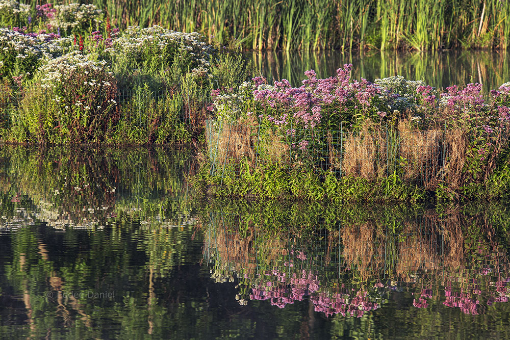 Island close up