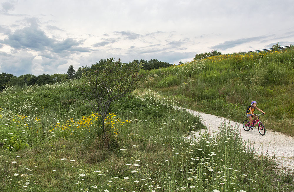 Hillside path