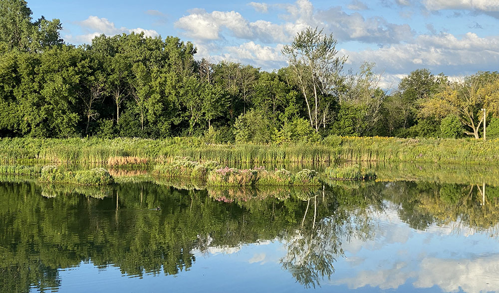 Hartung Park Pond