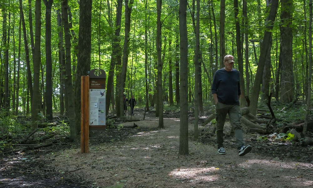 Interpretive station on the self-guided nature trail