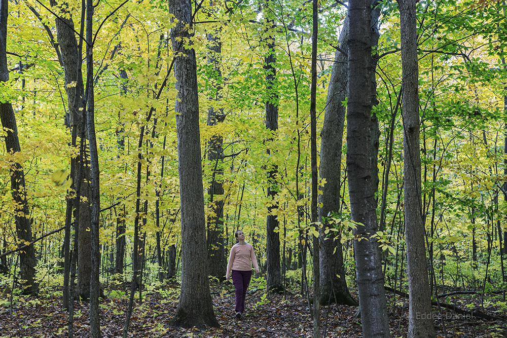 Beth Stoddard, artist in residence, in Fitzsimmons Woods