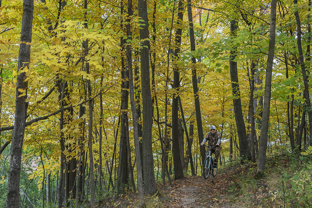 Cycling a street bike along the Forked Aster Trail, Grobschmidt Park