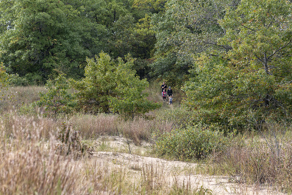 Family outing in the dunes