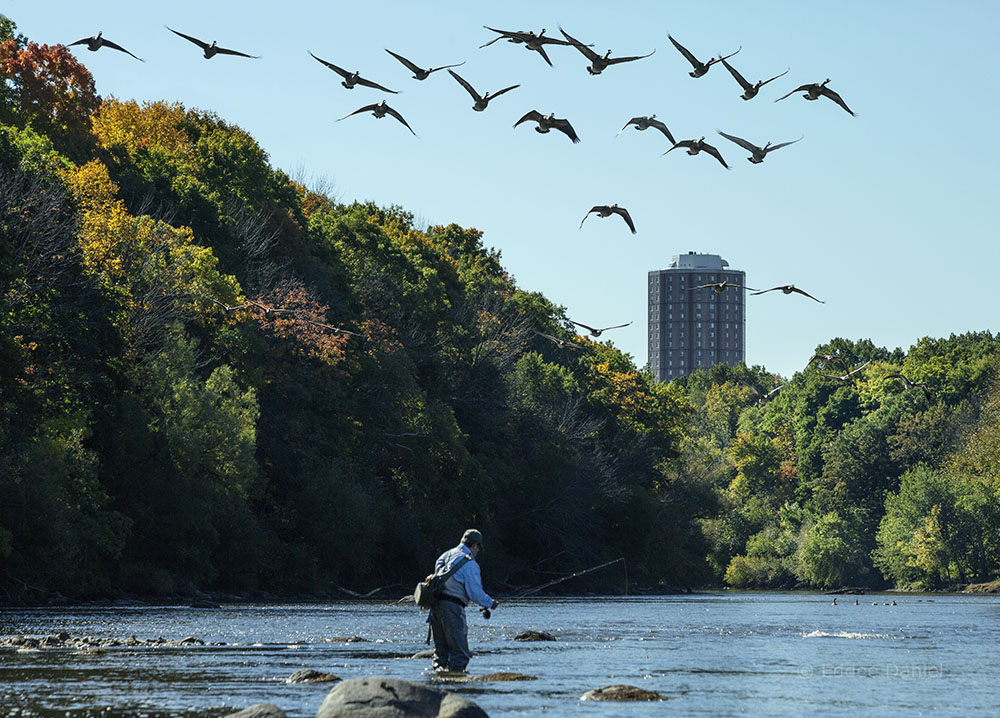 Milwaukee River Greenway, urban oasis