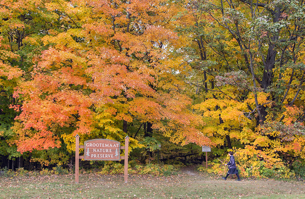 Trail head at Grootemaat Nature Preserve