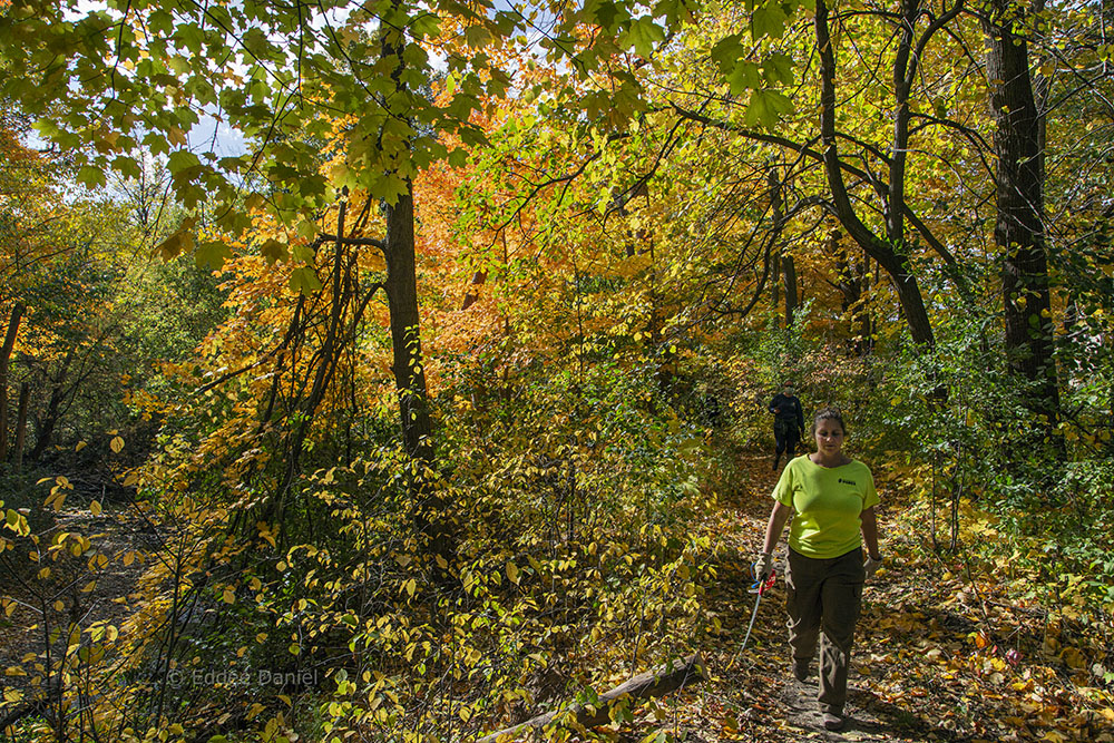 Jessica Wineburg, Mke Co Parks Trails Coordinator, on KK River Trail