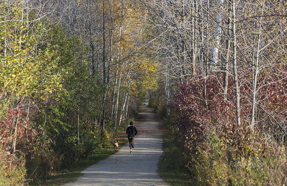 Jogger on Lion's Den Gorge Trail.  Lion's Den Gorge Nature Preserve.