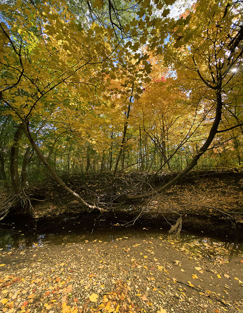 The KK River in autumn splendor