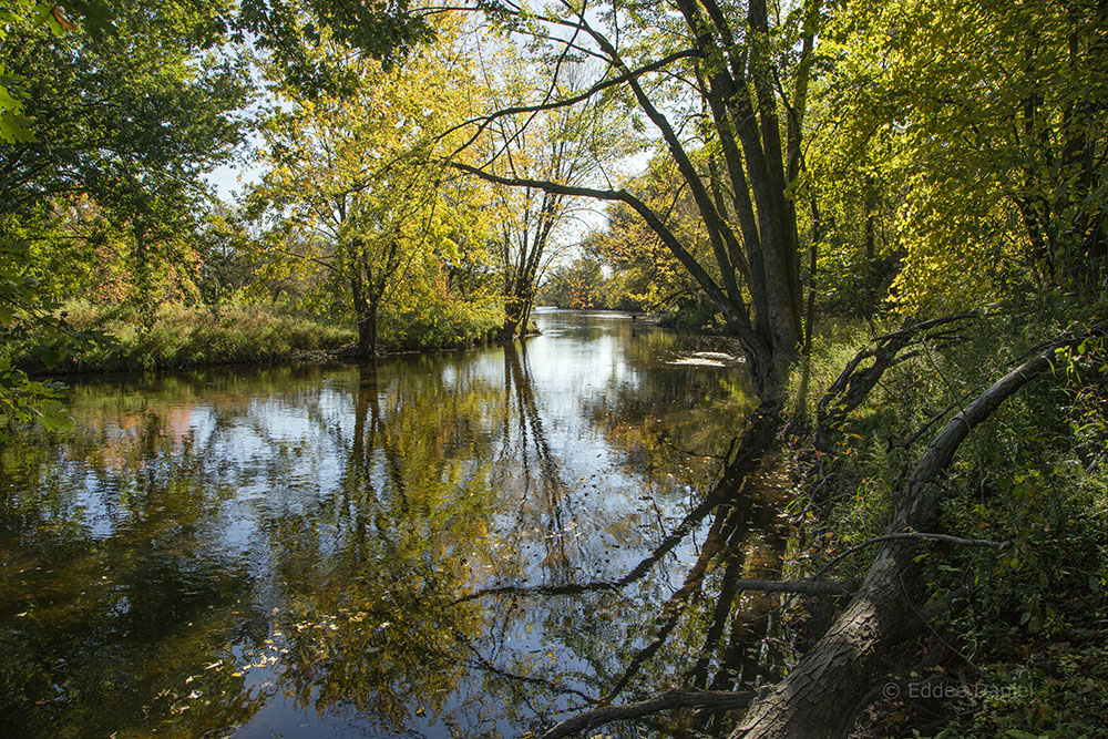 Milwaukee River idyll