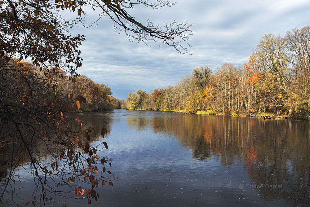 A moody Milwaukee River. Hawthorne Hills County Park/Shady Lane State Natural Area.