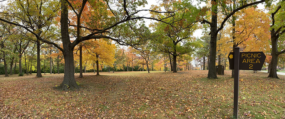 One of two picnic areas currently in Wisconsin Avenue Park.