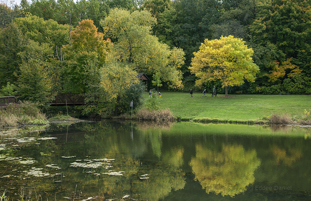 Calhoun Park pond