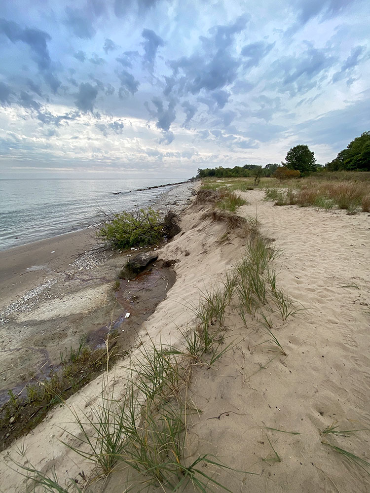 Kenosha Sand Dunes