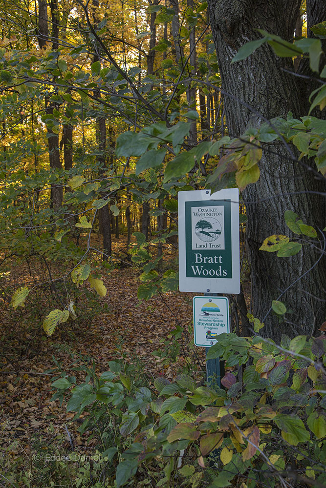 Entrance to Bratt Woods State Natural Area.