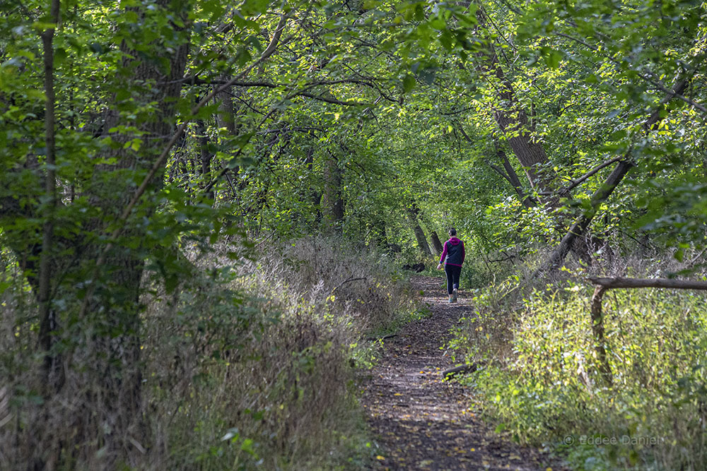 A jogger passing by on the West Bank Trail.