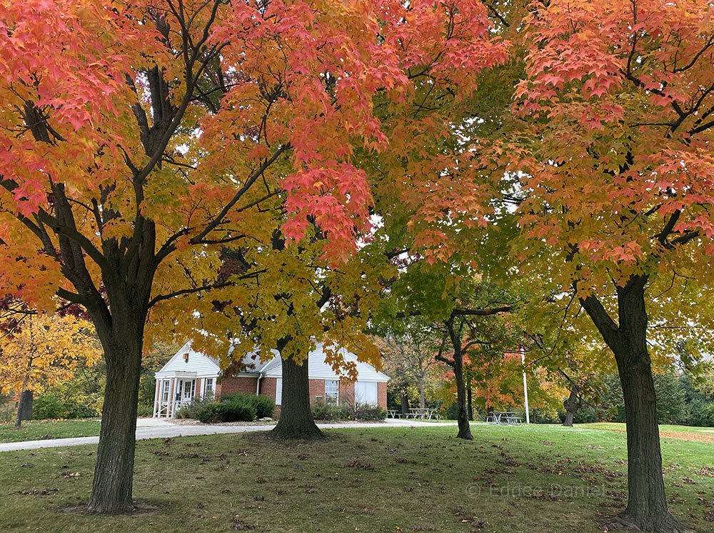 The Wisconsin Avenue Park Office Building