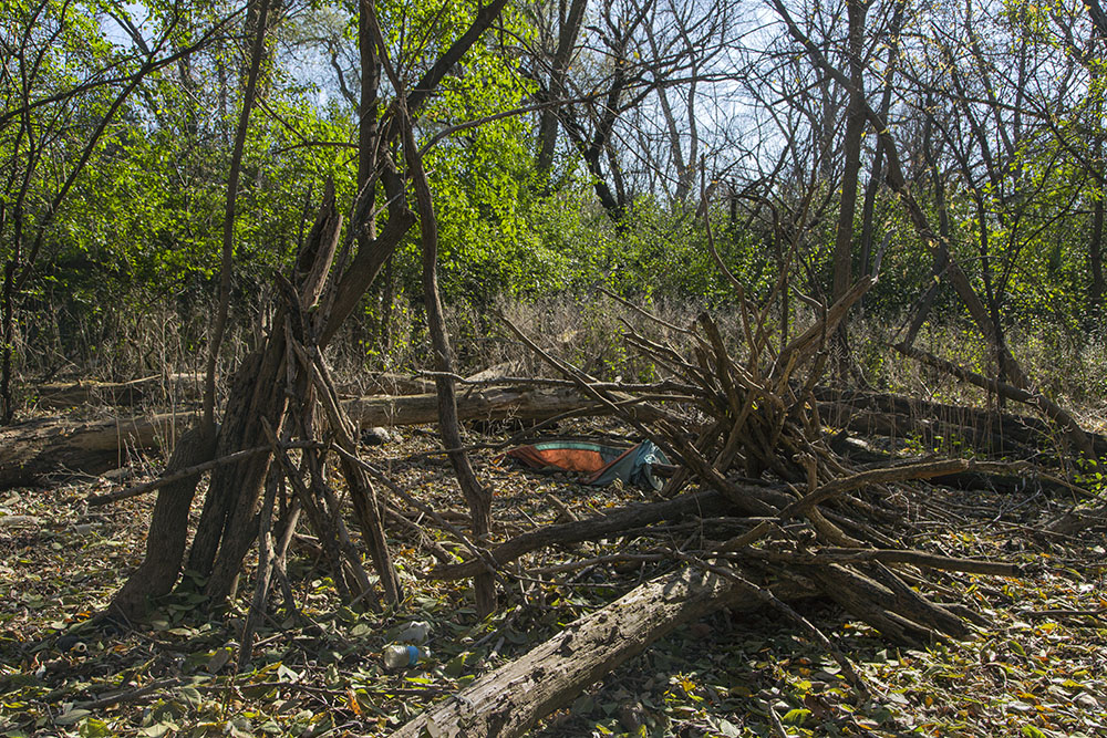 Encampment sheltered by hedge-like buckthorn