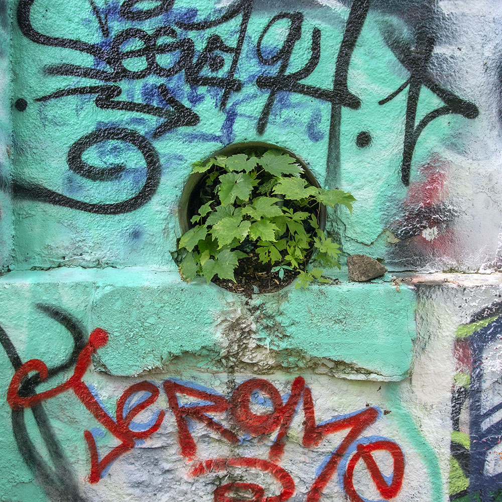 Grafitti on the ruins of the Gordon Park bathhouse, an example of "Synecdoche"