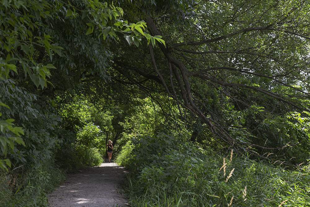 A lone jogger on the East Bank Trail