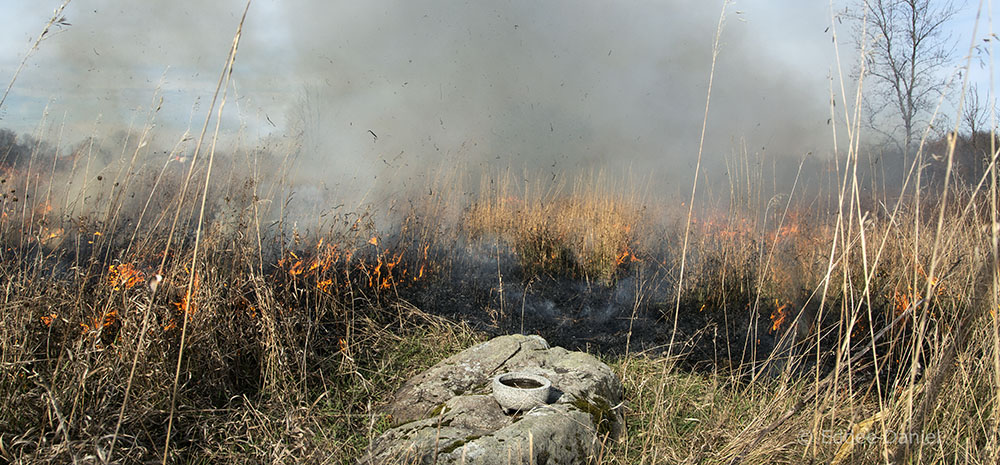 Offering and burn