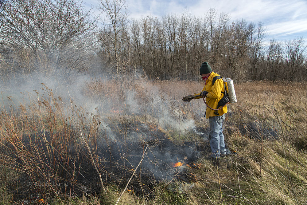 A volunteer sprays water to control the fire