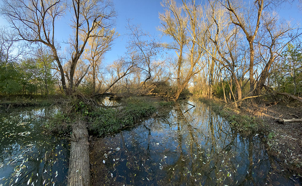 Crossing the Root River on a log