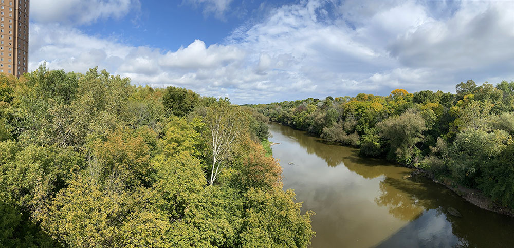 Milwaukee River from Locust St bridge