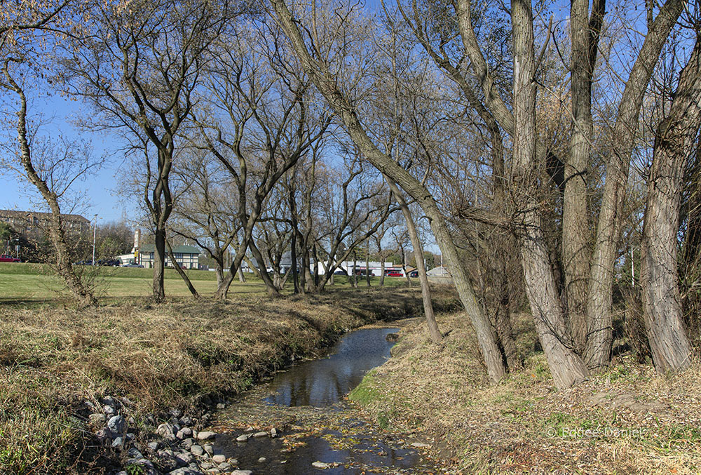 The restored creek and Highway 100