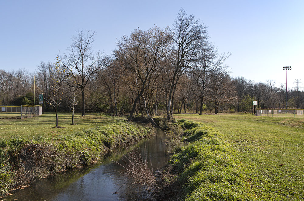 The lure of the wild side of the park