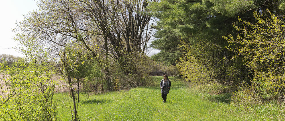 Trail in Shannon Preserve