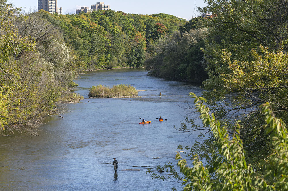 View of the Greenway from Capitol Drive