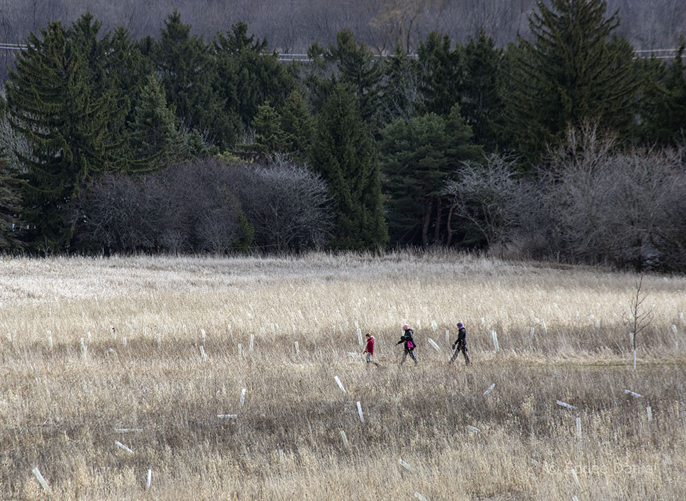 A socially distanced trio of hikers at Mequon Nature Preserve