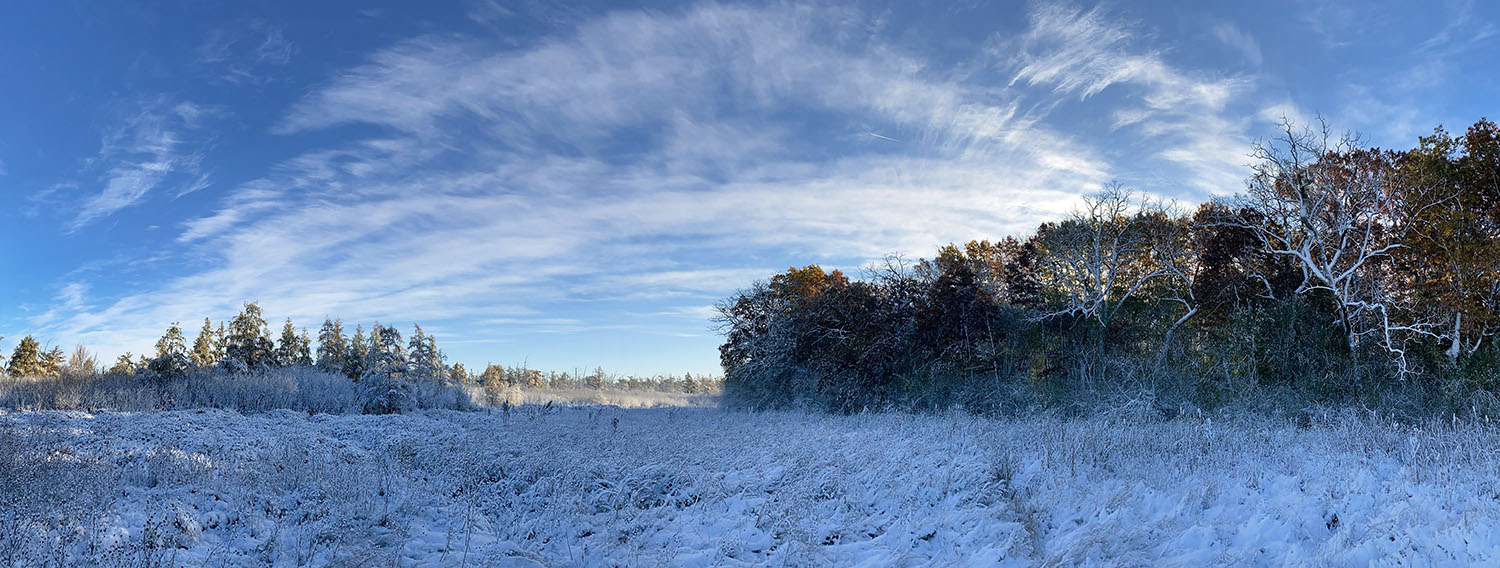 Tamarack Marsh winter panorama