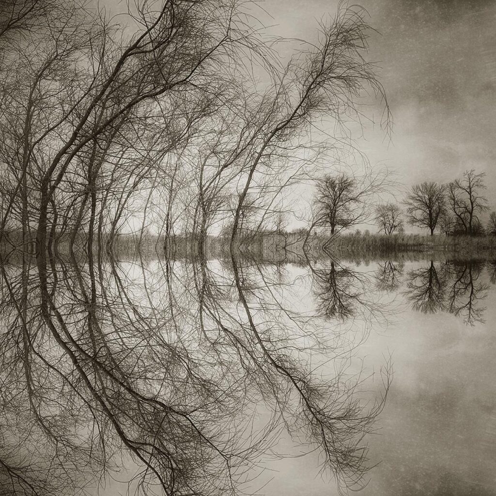 Symmetry, an iPhone photograph by Vicki Reed